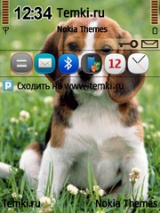 Щенок в цветах для Nokia N92