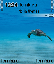 Глазастая черепаха для Nokia 6260