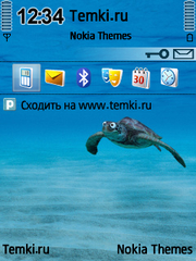 Глазастая черепаха для Nokia X5-00