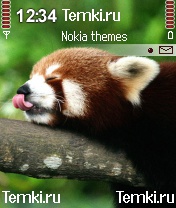 Скриншот №1 для темы Малая панда