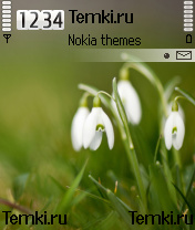 Цветы для Nokia 3230
