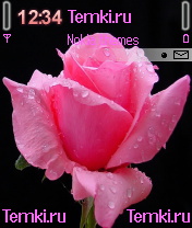 Розовая Роза для Nokia N90