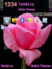 Розовая Роза для Nokia E66