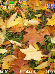 Осенние листья для Nokia 3600 slide