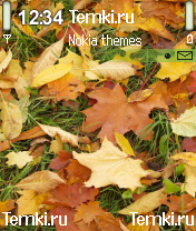 Осенние листья для Nokia 6620