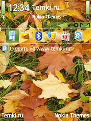 Осенние листья для Nokia 6210 Navigator