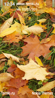 Осенние листья для Nokia N97 mini
