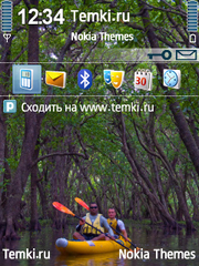 Сплав по реке для Nokia 6790 Slide