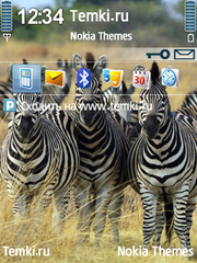 Зебры для Nokia N81 8GB