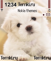 Собачка для Nokia N70