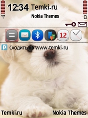 Собачка для Nokia E73 Mode