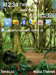 Джунгли для Nokia E51