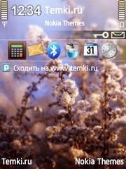 Природа для Nokia E51