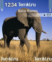 Mr Слон для Nokia 6620