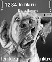 Странный зверь для Nokia N70