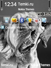 Странный зверь для Nokia 5500