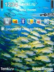 Рыбёшки для Nokia N95 8GB