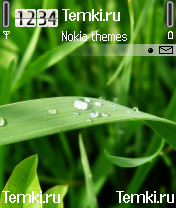 Капли дождя для Nokia 6681