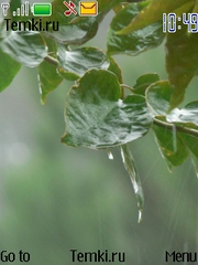Мокрые листья для Nokia 6133
