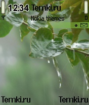 Мокрые листья для Nokia 6630