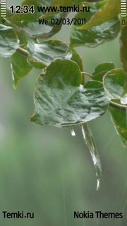 Мокрые листья для Nokia 701