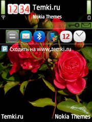 Розы для Nokia E73 Mode