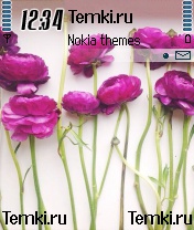 Яркие Цветы для Nokia N72