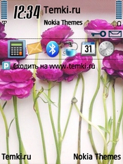 Яркие Цветы для Nokia N71