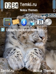 Снежный барс для Nokia N76