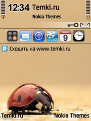 Божья коровка для Nokia 6760 Slide
