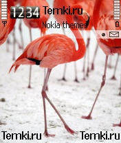 Фламинго для Nokia N70