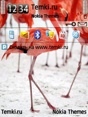 Фламинго для Nokia 6790 Slide