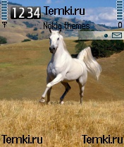 Лошадь для Nokia 6600