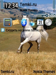 Лошадь для Nokia N78