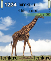 Жираф для Nokia 6630