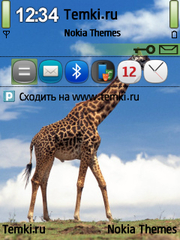 Жираф для Nokia 5320 XpressMusic