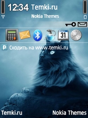 Черная Кошка для Nokia N91