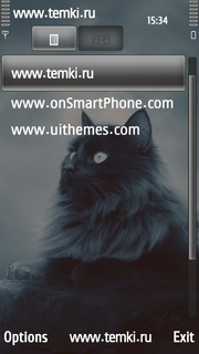 Скриншот №3 для темы Черная Кошка