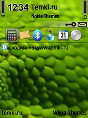 Змеиная кожа для Nokia E51