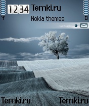 Одинокое деревце для Nokia N70