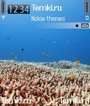 Морской мир для Nokia 3230