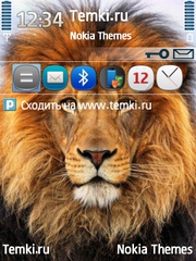 Король Джунглей для Nokia E63
