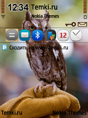 Птичка для Nokia N76