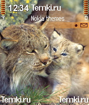 Рысь с котёнком для Nokia N90