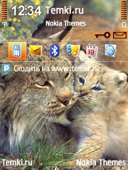 Рысь с котёнком для Nokia N95