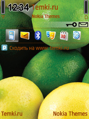 Лимоны для Nokia E51