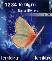 Хрупкая бабочка для Nokia N72