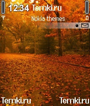 Осенняя дорога для Nokia N90