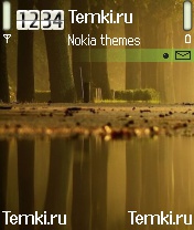 Отражение для Nokia N90