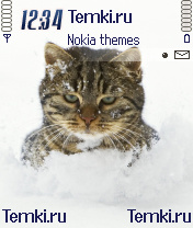 Пушистый Кот В Снегу для Nokia N90